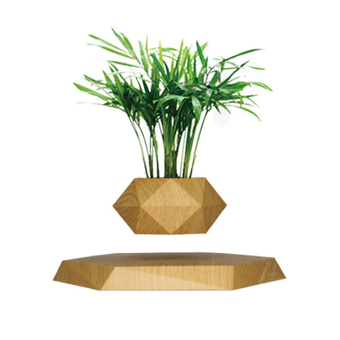Magnetic levitation potted plants Creative Bonsai Flower Pots Plants Office Plant Decorations Magnetic Levitation Potted Plants | Creative Bonsai Flower Pots | Office & Bedroom Decor